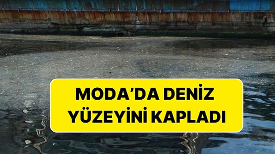 Müsilaj Kabusu Geri Döndü: Adalar’da Başladı, Moda’ya Ulaştı