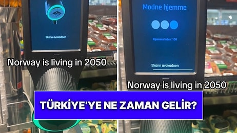 Türkiye’ye Ne Zaman Gelir? Avokadonun Olgunlaşıp Olgunlaşmadığını Söyleyen Cihaz