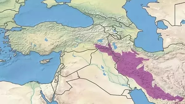 Türkiye, Avrasya, Afrika, Arabistan ve Anadolu levhalarının kesişim noktasında yer alıyor.