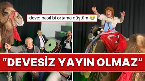 Bu Nasıl Ortam? Rıdvan Abi, Keyto TV Yayınında Deveye Binip Şov Yaptı!