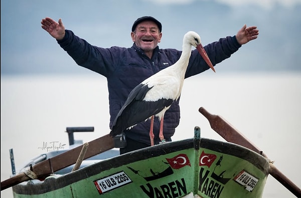 "Her ne kadar dünya genelinde 39 yaşına kadar yaşayan bir leylek kaydı olsa da günümüz şartları ele alındığında uzmanlar bir leyleğin ömrünün ortalama 15 yıl olduğunu belirtiyor."