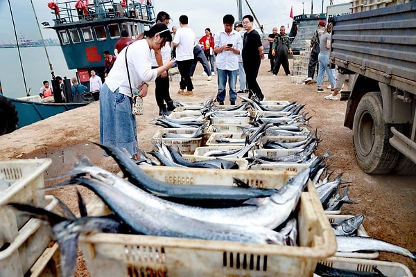 Possessing the world's largest and most advanced fishing fleets, China can easily operate 10,000–15,000 kilometers away from its own shores.