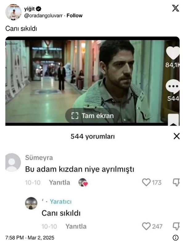 Anlamazdın.