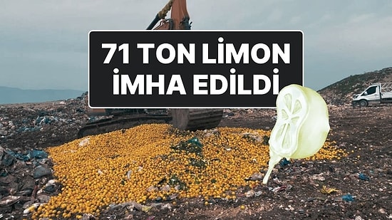 Pestisit Tespit Edilen Dubai’ye İhraç Edilecek 71 Ton Limon İmha Edildi