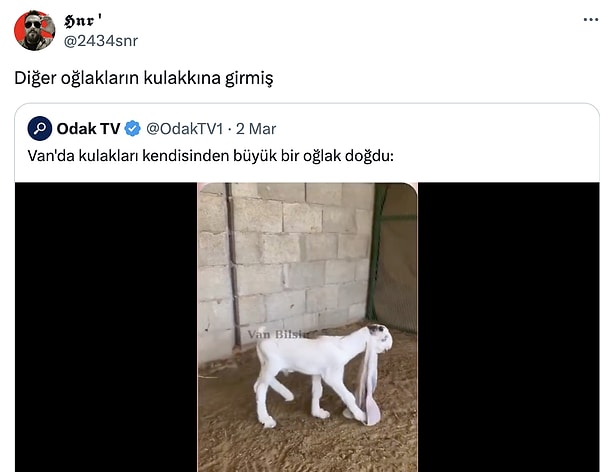 Başlayalım!