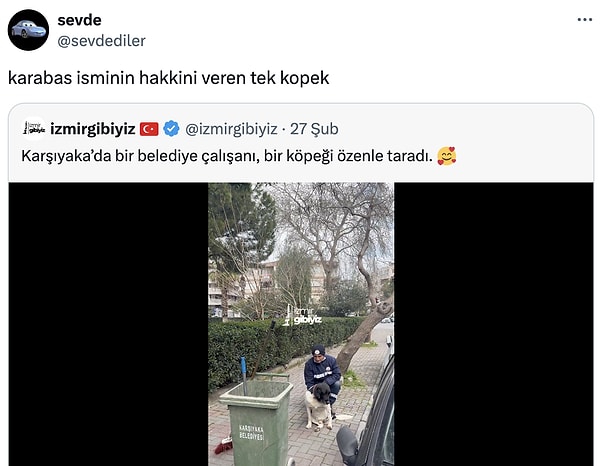 Daha karabaşı yok.