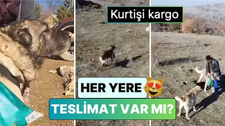 Bir Kadın Kangal Köpeği ile Çoban Oğluna Yiyecek Gönderdi