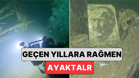 17 Ağustos Depreminde Gölcük'te Sular Altında Kalan Çınar Ağaçları Görüntülendi