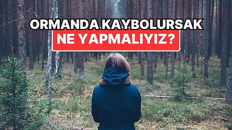 Ormanda Kaybolursak Ne Yapmalıyız? Ormanda Yol Nasıl Bulunur?