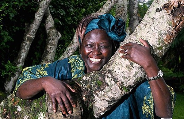 Toprağın savaşçısı: Wangari Maathai