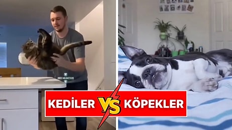 Dört Ayak Üstüne Düşme Testini Başarıyla Geçen Kedi ile Rahatına Düşkün Köpeğin Gülümseten Kıyası