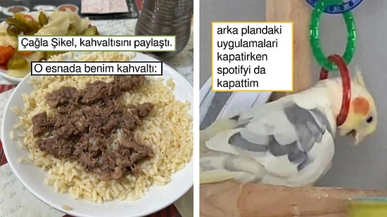 İdeal Kahvaltıdan Yanlış Uygulamayı Silince Gelen Sinire Son 24 Saatin Viral Tweetleri