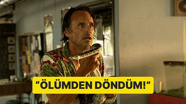 Kapak Görseli