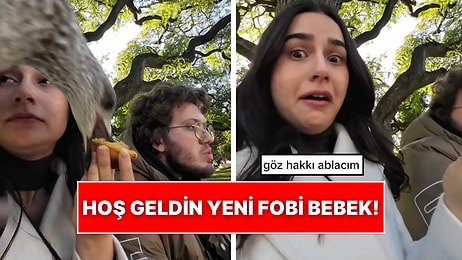 Nabızlar Yükseldi: Parkta Tatlı Yiyen Kadını Gören Martı Elindekini Kaptı Gitti