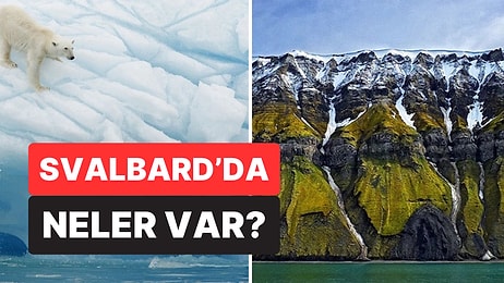 İnsanlardan Çok Kutup Ayısının Yaşadığı Svalbard’da Yaşamak Mümkün mü?