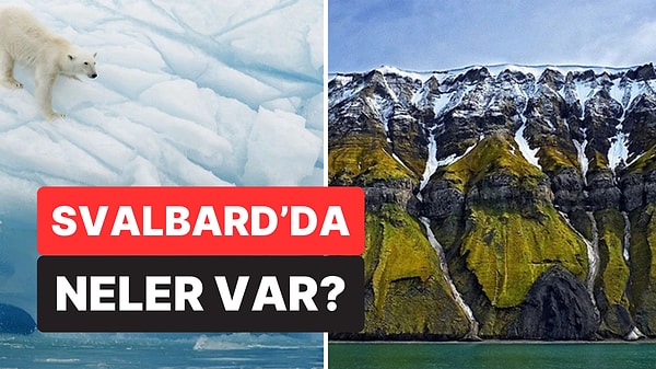 Kapak Görseli