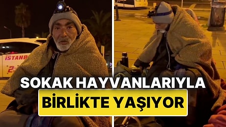 İstanbul’da Sokakta Yaşayan Adam, Hayvan Dostlarıyla Kurduğu Düzeni Anlattı