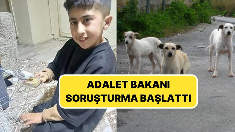 Adalet Bakanı Harekete Geçti! 10 Yaşındaki Murat, Sokak Köpeğinin Saldırısına Uğradı: Yoğun Bakıma Alındı