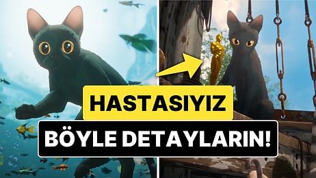 'En İyi Animasyon' Ödülü Kazanan Flow Filminin Yönetmeni İnce Bir Kedi Detayıyla Yüzümüzü Güldürdü!