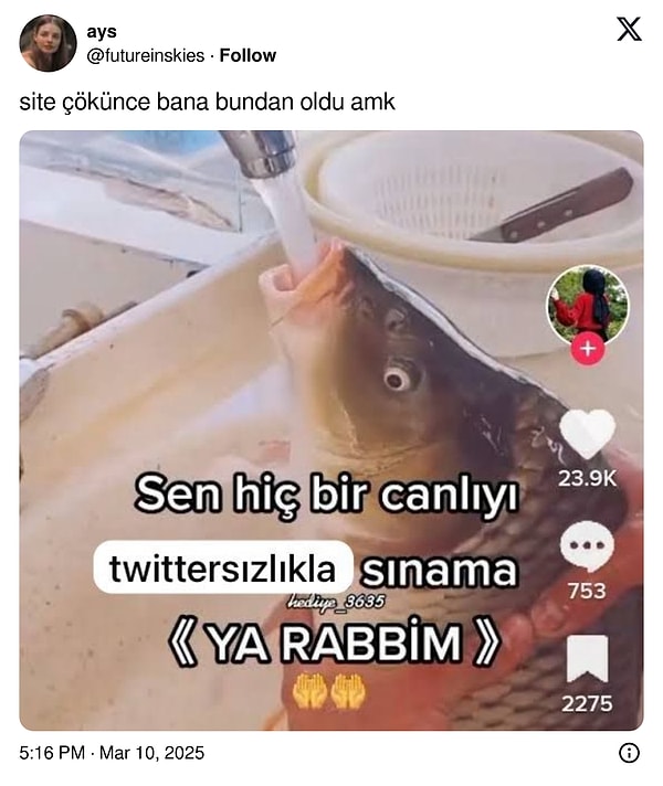 Hatırlayacağınız üzere dün Twitter'lar kesikti...