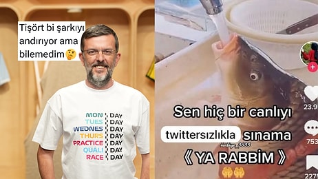 Turabi'nin Bıraktığı Travmadan Twitter'ın Çökmesine Son 24 Saatin Viral Tweetleri