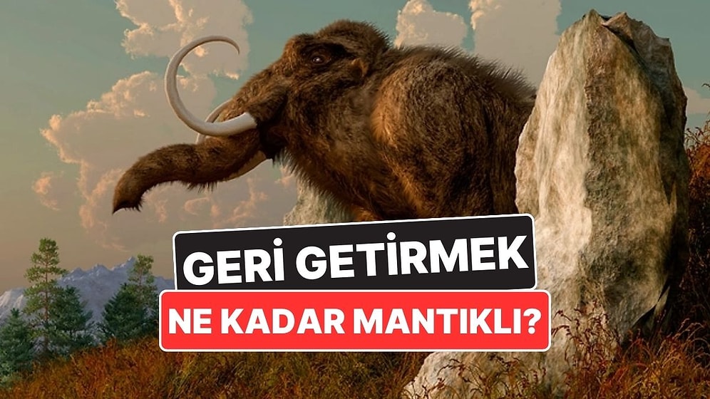 Bilim İnsanları Neden Nesli Tükenmiş Hayvanları Geri Getirmeye Çalışıyor?