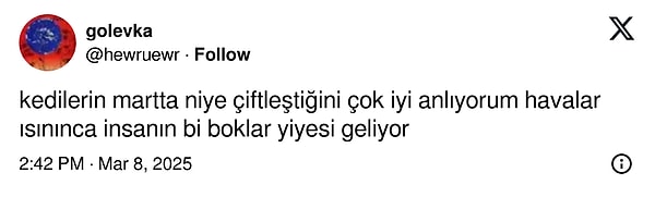 Bilimsel bir tespit!