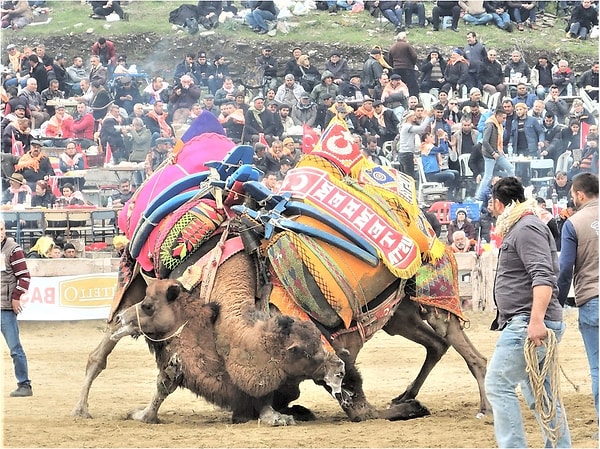 Traditional festivals are deeply embedded in İzmir’s cultural life.