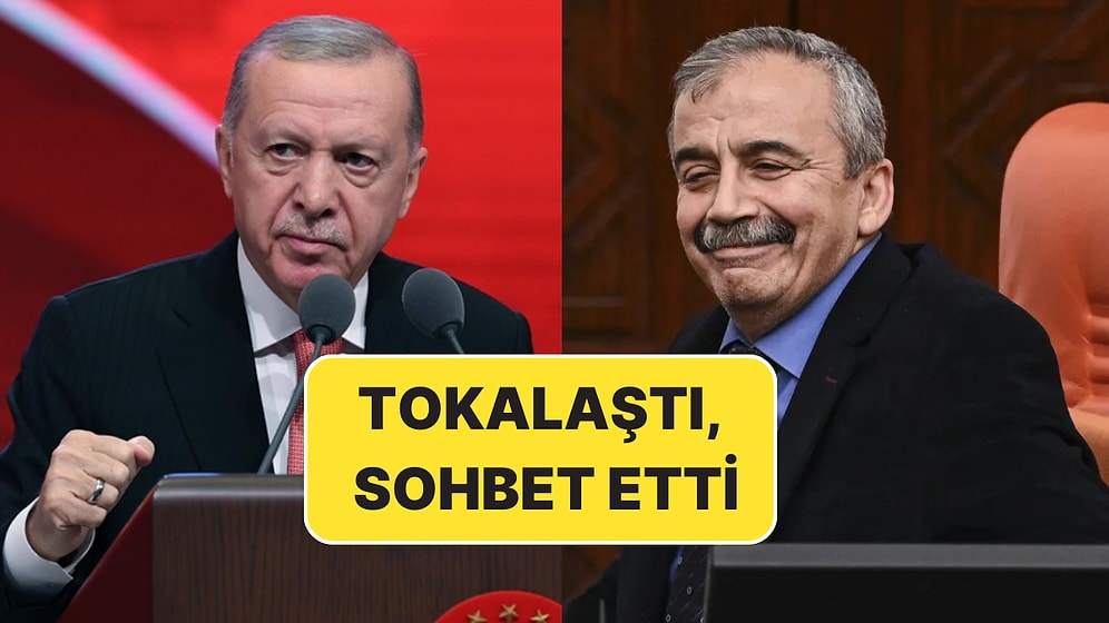 Cumhurbaşkanı Erdoğan, İmralı Heyetine Yeşil Işık Yakmıştı: Sırrı Süreyya Önder ile Sohbet Etti