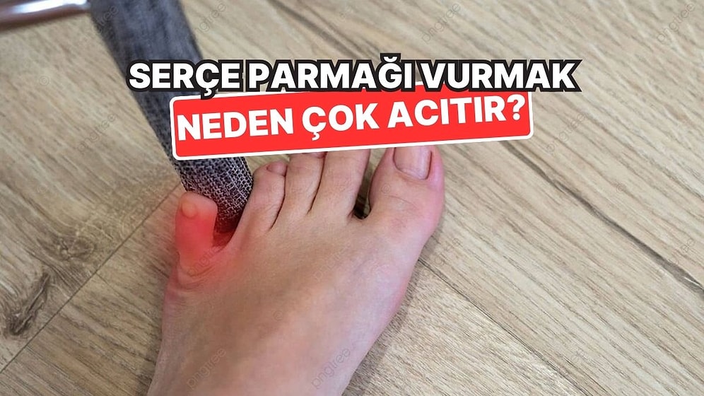 Ayak Serçe Parmağımızı Sehpaya Vurduğumuzda Neden Acıdan Yerlere Yatarız?