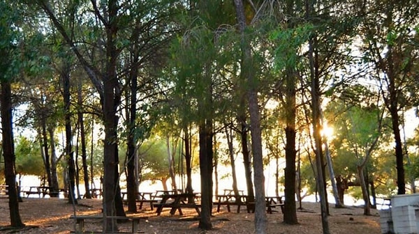 Kalemlik Forest Camp - Menderes