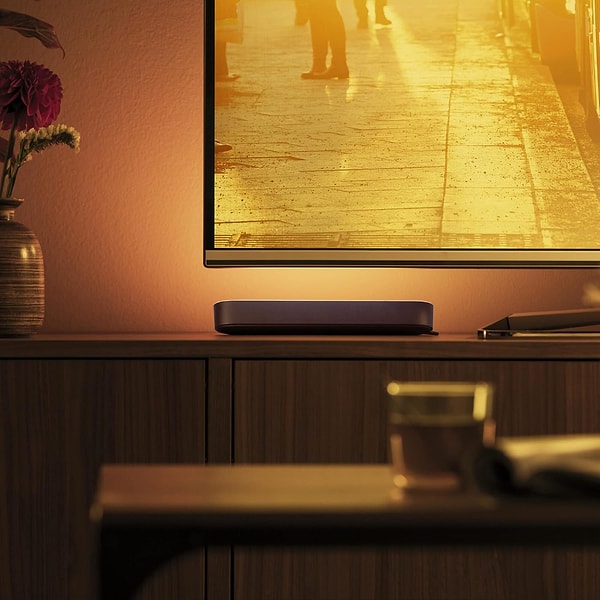 Philips Hue Play 2'li EkoPaket