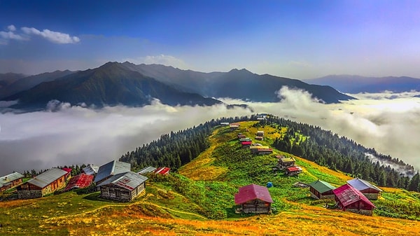 Pokut Plateau, Rize