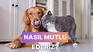 Evcil Hayvanının Evde Daha Mutlu Olmasını Sağlayacak 12 Şey