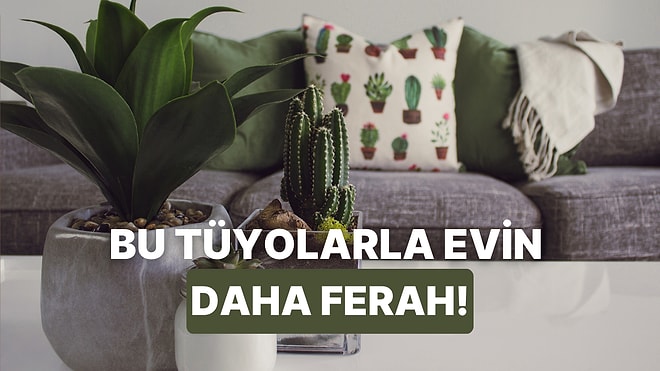 Evini Daha Ferah Gösterecek Dekorasyon Tüyosunu Veriyoruz!