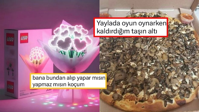 Her Kızın Hayali Olan O Çiçekten Kaldırım Taşından Çıkan Sürprizlere Son 24 Saatin Viral Tweetleri