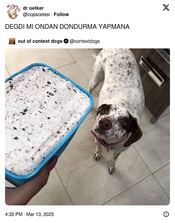 Bakışına bakın çabuk!