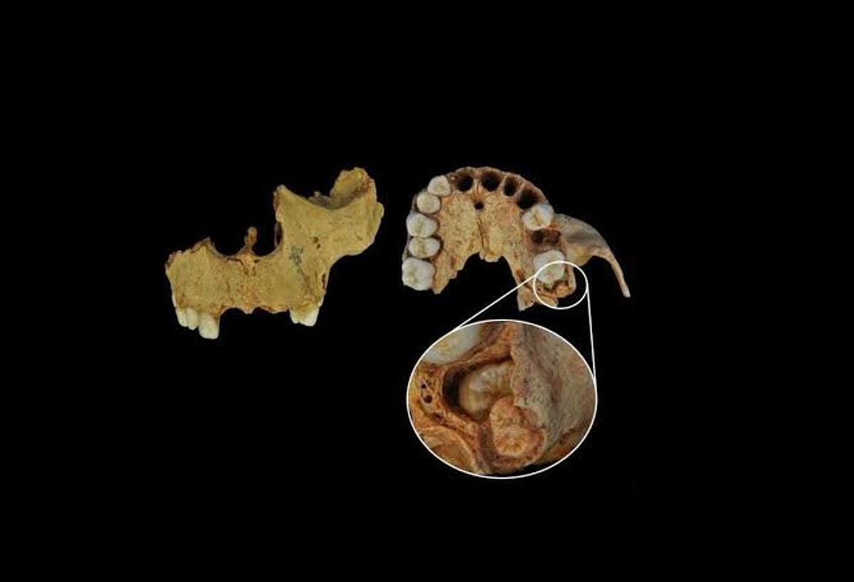Oldest Human Face in Western Europe Discovered in Spain - Onedio