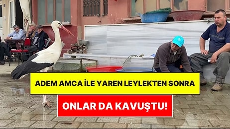 Adem Amca ile Yaren Leylekten Sonra Onlar da Buluştu: Bursalı Yusuf Amca ile 8 Yıllık Dostu Bilal!