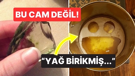 Hayatın Tatlı Tesadüflerle Dolu Olduğunu Kanıtlayan Fotoğraflar