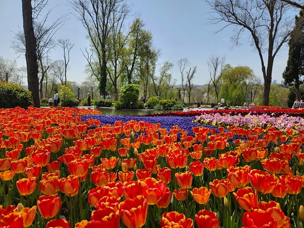 1. Emirgan Park (Emirgan Korusu)