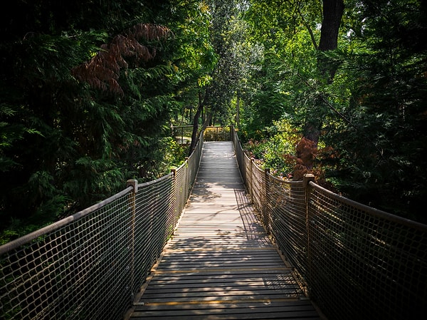 2. Yıldız Park (Yıldız Korusu)