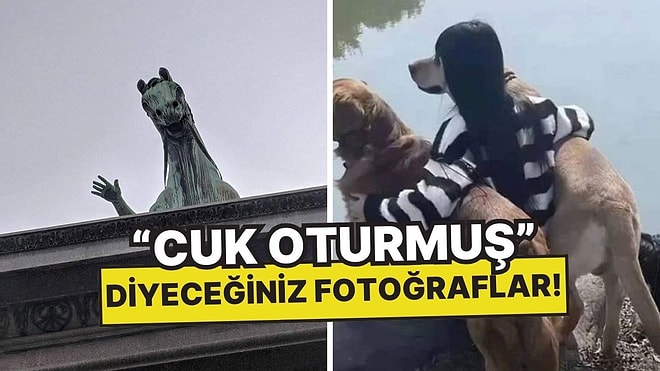 Tuhaf Perspektifle Çekilen Fotoğrafları Paylaşarak Kafamızı Allak Bullak Eden Kullanıcılar