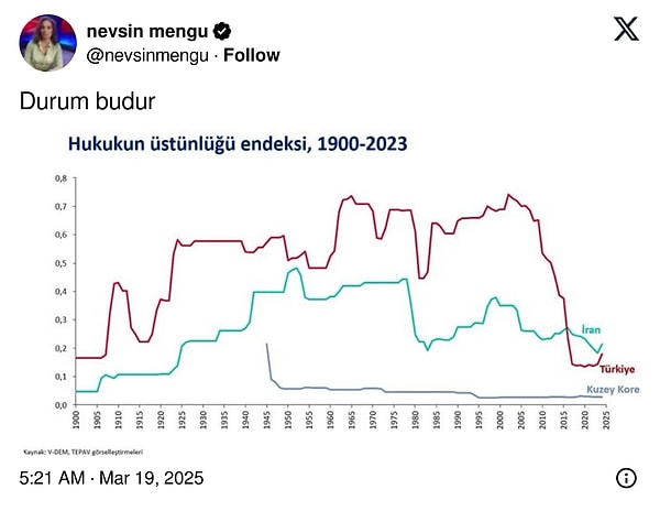 Nevşin Mengü