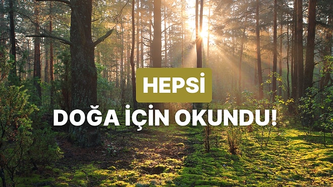 Ormanlar Fidana, Fidanlar Ağaca: Doğa İle İlgili Yazılmış Şarkılar Neler?