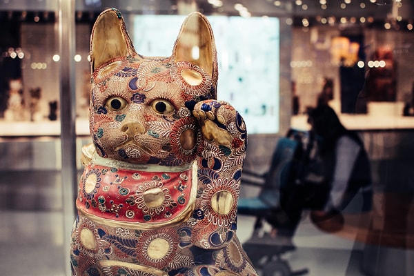 Head to The Cat Museum in Beyoğlu to experience a unique space dedicated to celebrating Istanbul’s love for cats.