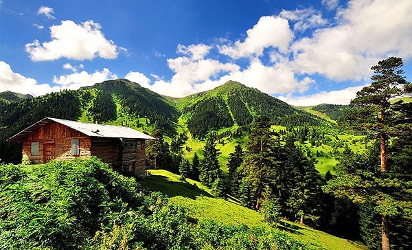 13. Artvin ilinin 1956'dan önceki adı nedir?