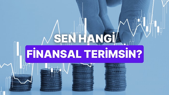 Hangi Finansal Terim Seni En İyi Tanımlar?