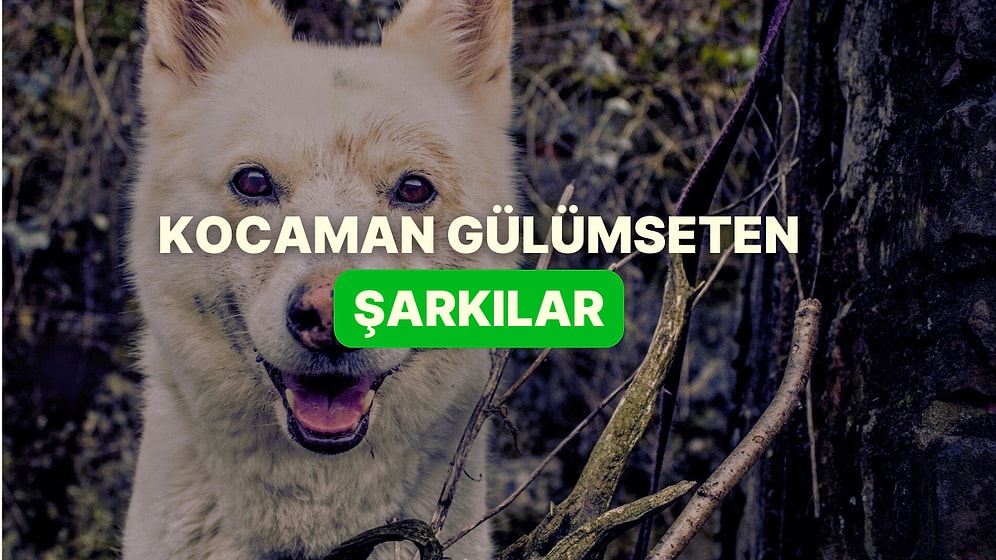 Gülümsemene Sebep Olacak Şarkı Playlist'i Geldi