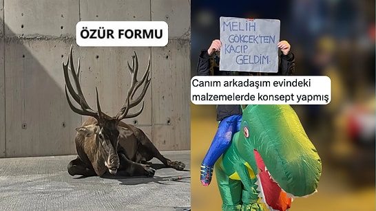 Yaralı Geyik Lanetinden Pankartta Çığır Açanlara Son 24 Saatin Viral Tweetleri